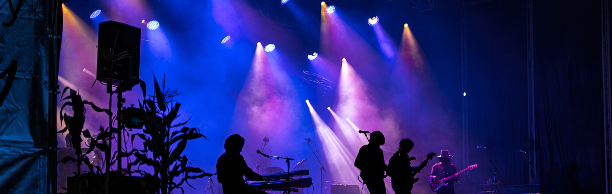 Live Music & Musical Entertainment